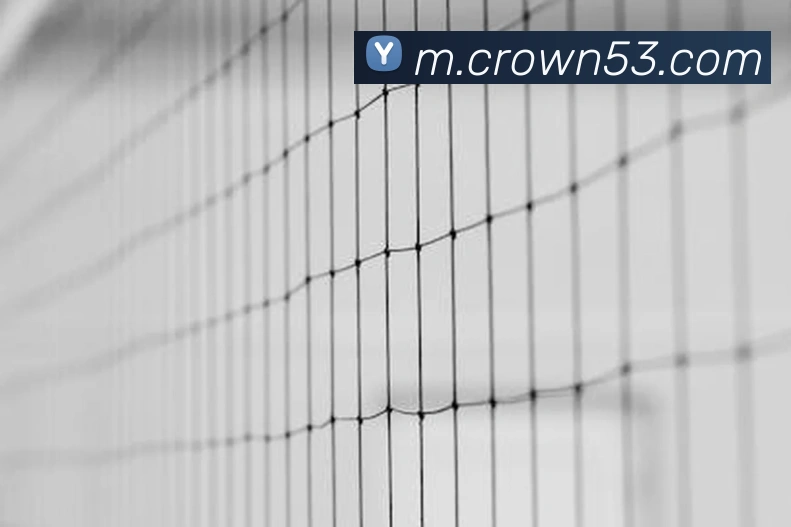 皇冠crown体育平台全站App